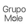 Bolsa de trabajo Grupo Mole